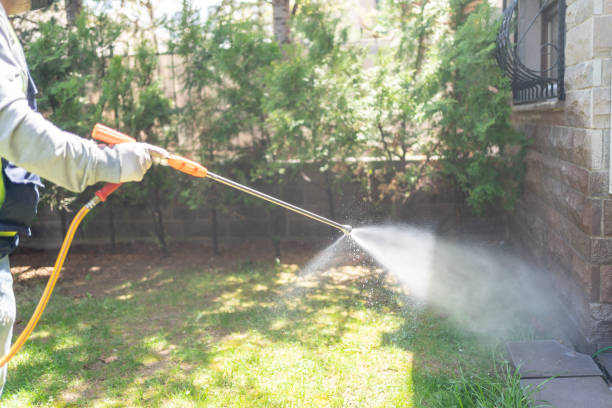 Best Mosquito Control  in Albany, IN